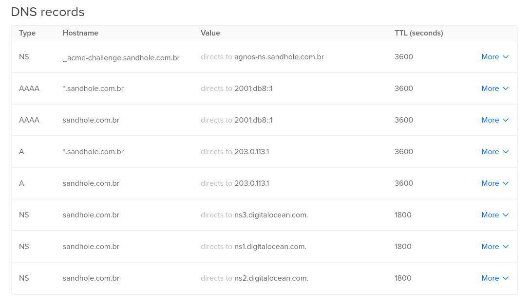 A table showing DNS records (A and AAAA) for “sandhole.com.br” and “*.sandhole.com.br” pointing to IPv4 and IPv6 addresses, as well as “_acme-challenge.sandhole.com.br” having its nameservers (NS record) redirected to “agnos-ns.sandhole.com.br”.